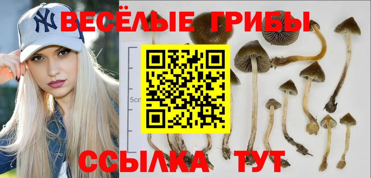 Галлюциногенные грибы ЛСД Благодарный