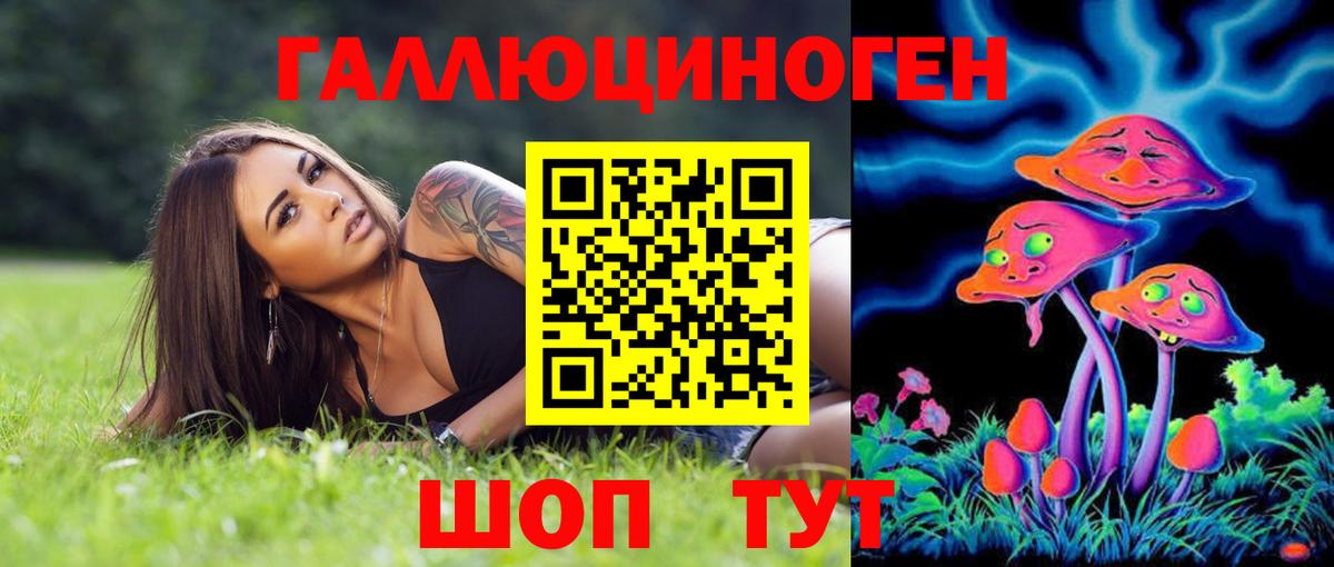 где продают   Вход с VPN  Галлюциногенные грибы MAGIC MUSHROOMS  Благодарный  Псилоцибиновые грибы GOLDEN TEACHER 